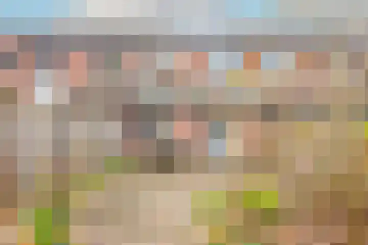 Kieftentuin 24 Zwaag thumbnail 39