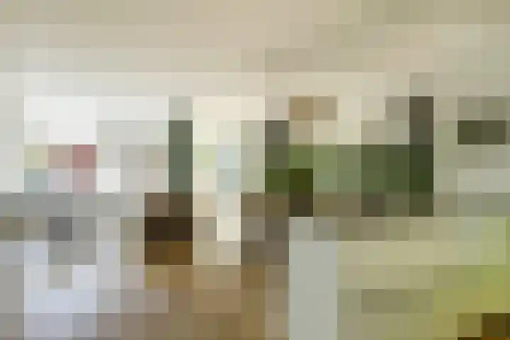 Kieftentuin 47 Zwaag thumbnail 12