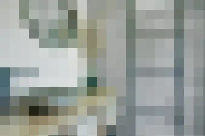 Kieftentuin 47 Zwaag thumbnail 31