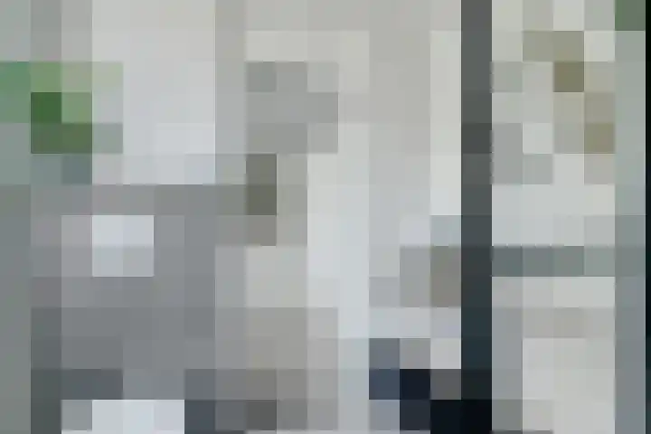 Kieftentuin 47 Zwaag thumbnail 33