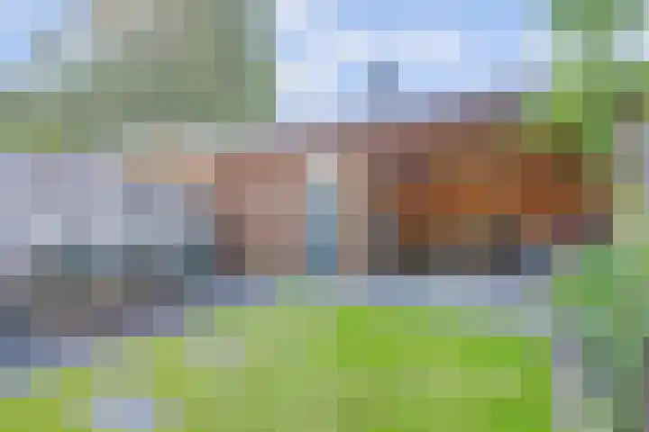 Kieftentuin 47 Zwaag thumbnail 46