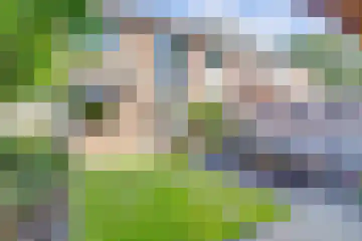 Kieftentuin 47 Zwaag thumbnail 47