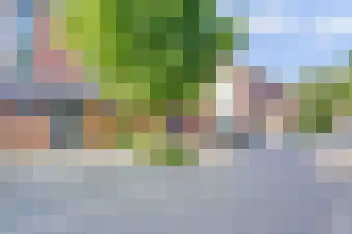 Kieftentuin 47 Zwaag thumbnail 5