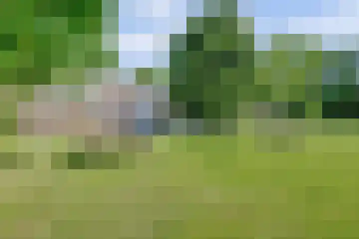 Kieftentuin 47 Zwaag thumbnail 50