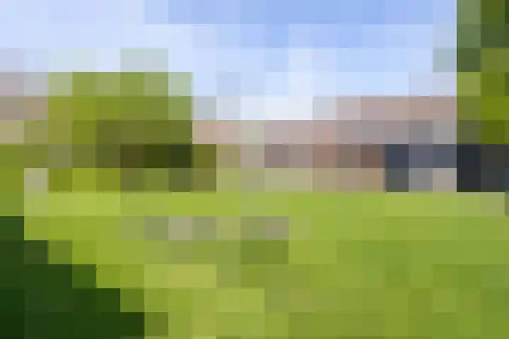 Kieftentuin 76 Zwaag thumbnail 33