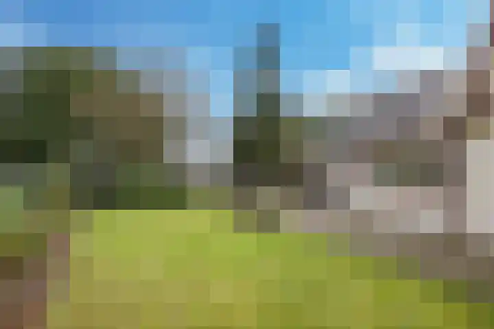 Kiefteweg 43 Eibergen thumbnail 52