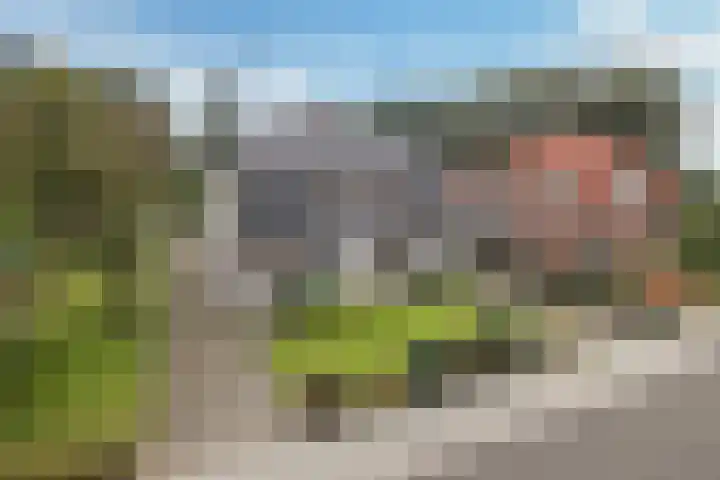 Kiefteweg 43 Eibergen thumbnail 6