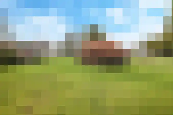 Kiefteweg 43 Eibergen thumbnail 62