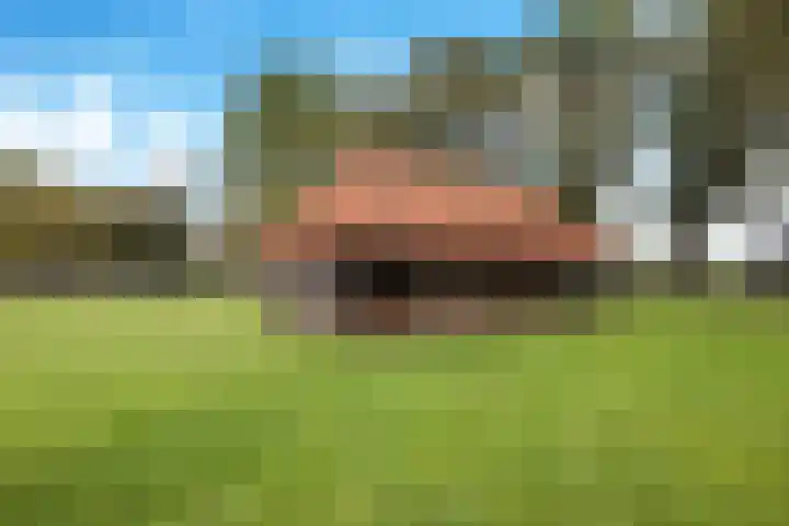 Kiefteweg 43 Eibergen thumbnail 63