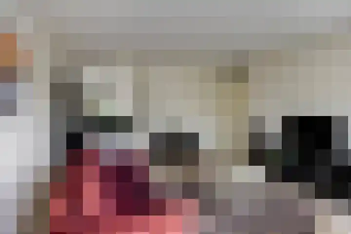 Kiel 6 Meppel thumbnail 10