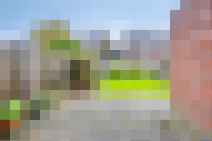 Kiel 6 Meppel thumbnail 36