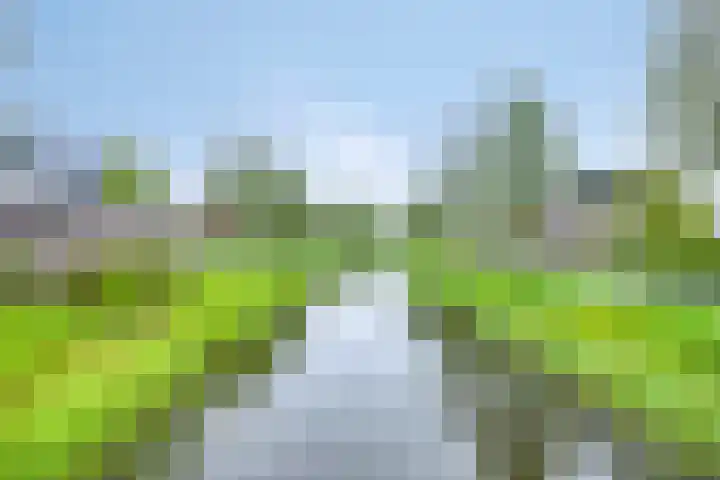 Kiel 6 Meppel thumbnail 43