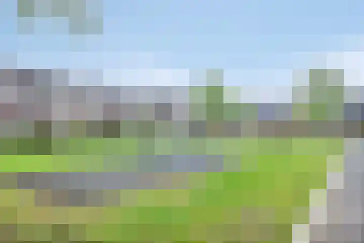 Kiel 6 Meppel thumbnail 44