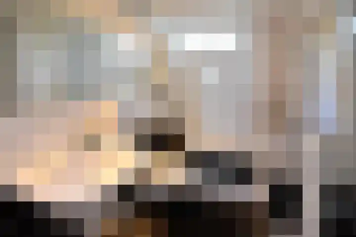 Kielzog 11 Huizen thumbnail 12