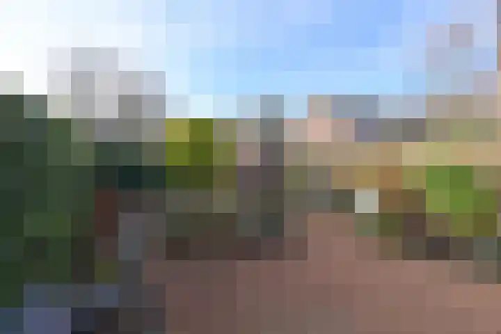 Kielzog 6 Huizen thumbnail 15