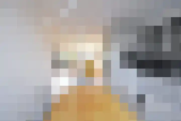 Kielzog 6 Huizen thumbnail 4