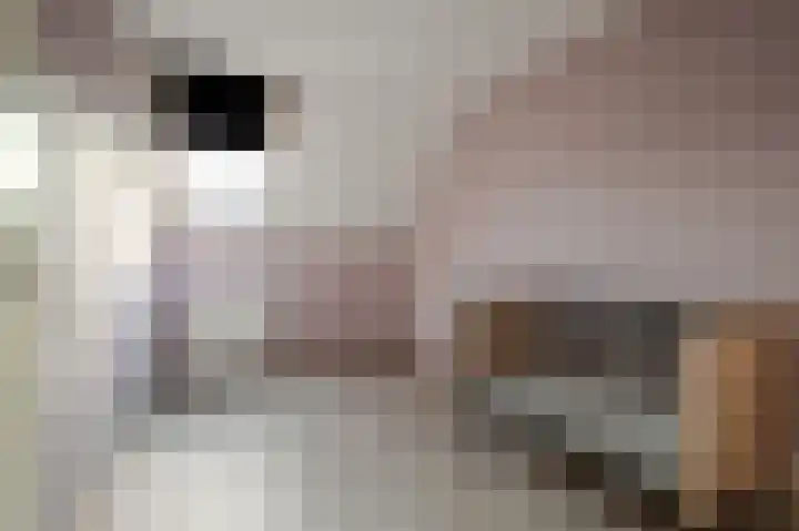 Kieskoel 28 Kerkrade thumbnail 10