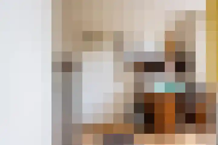 Kieskoel 5 Kerkrade thumbnail 14