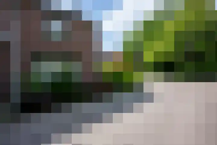 Kieskoel 5 Kerkrade thumbnail 24