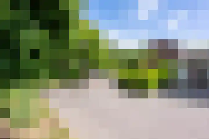 Kieskoel 5 Kerkrade thumbnail 25