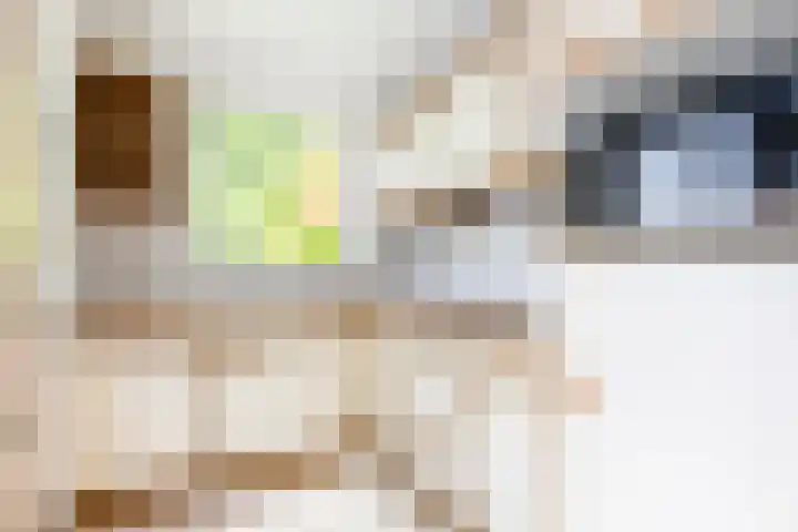 Kieskoel 5 Kerkrade thumbnail 9