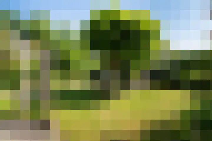 Kieveen 11 Westerbork thumbnail 27