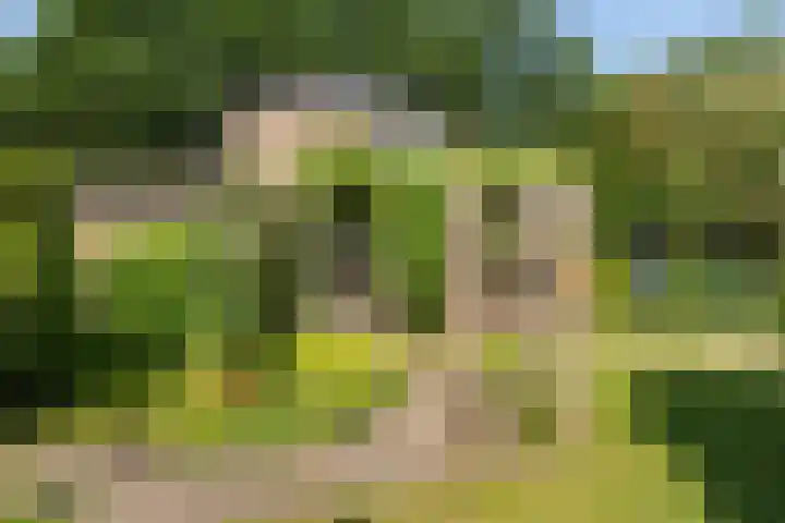 Kieveen 11 Westerbork thumbnail 29