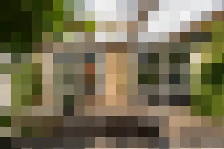 Kieveen 11 Westerbork thumbnail 35
