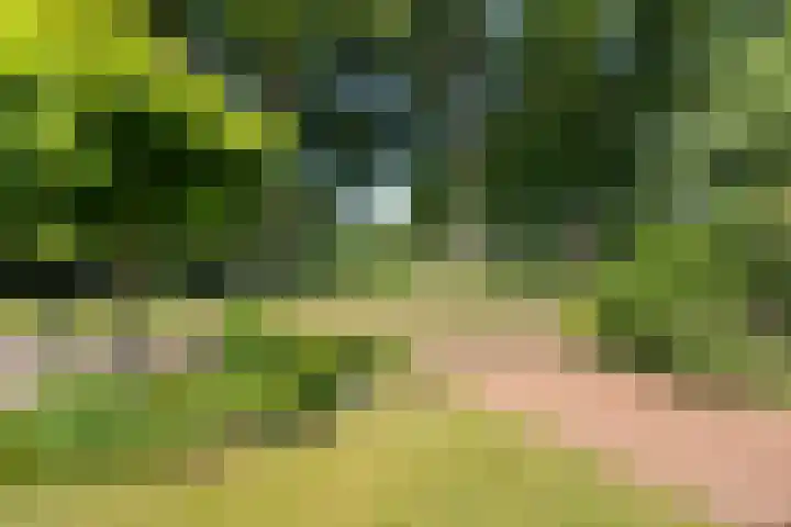 Kieveen 11 Westerbork thumbnail 42