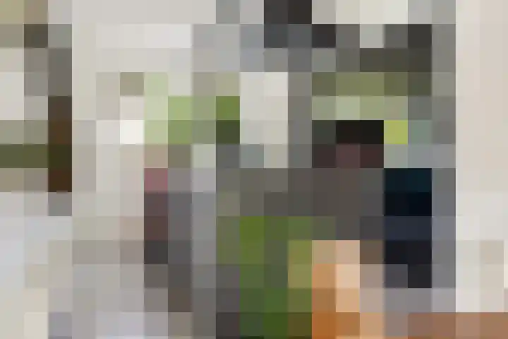 Kieveen 12 Westerbork thumbnail 10