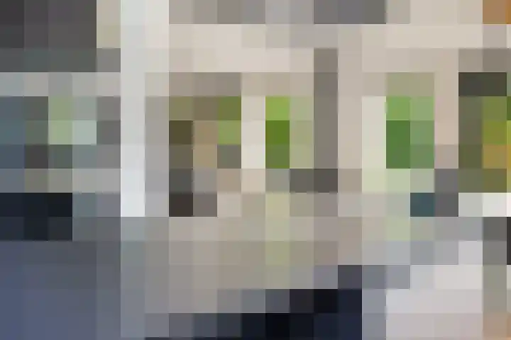 Kieveen 12 Westerbork thumbnail 12