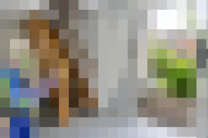 Kieveen 12 Westerbork thumbnail 13