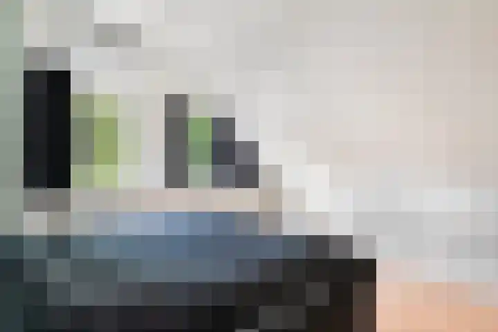 Kieveen 12 Westerbork thumbnail 18