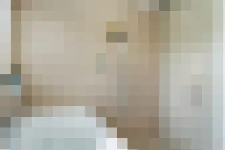 Kieveen 12 Westerbork thumbnail 24