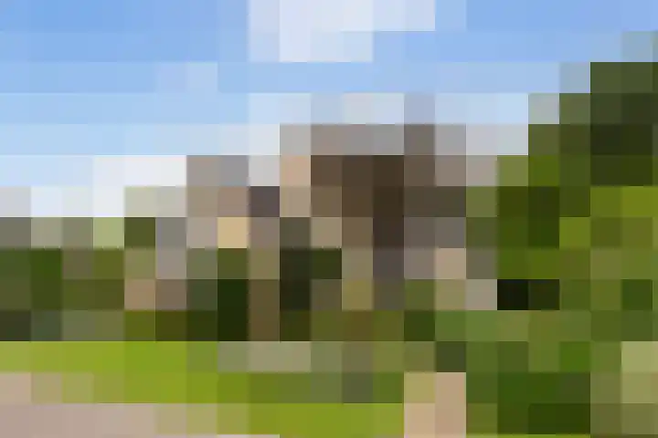 Kieveen 12 Westerbork thumbnail 28