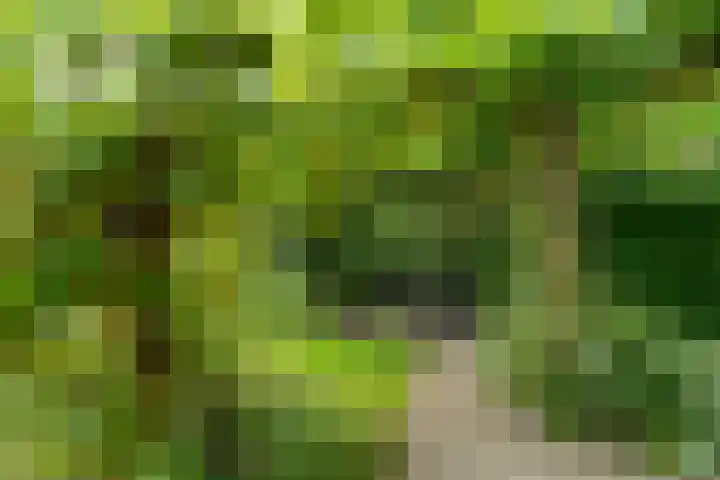 Kieveen 12 Westerbork thumbnail 30