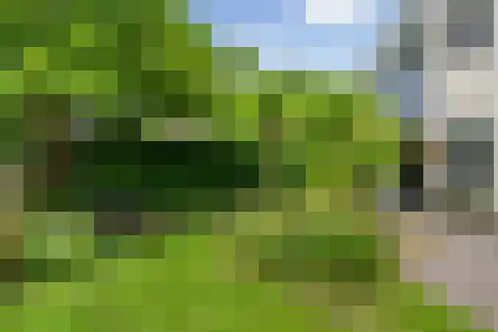 Kieveen 12 Westerbork thumbnail 31