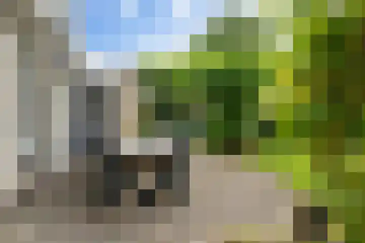 Kieveen 12 Westerbork thumbnail 32