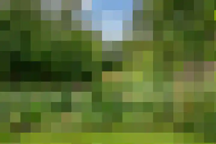 Kieveen 12 Westerbork thumbnail 35