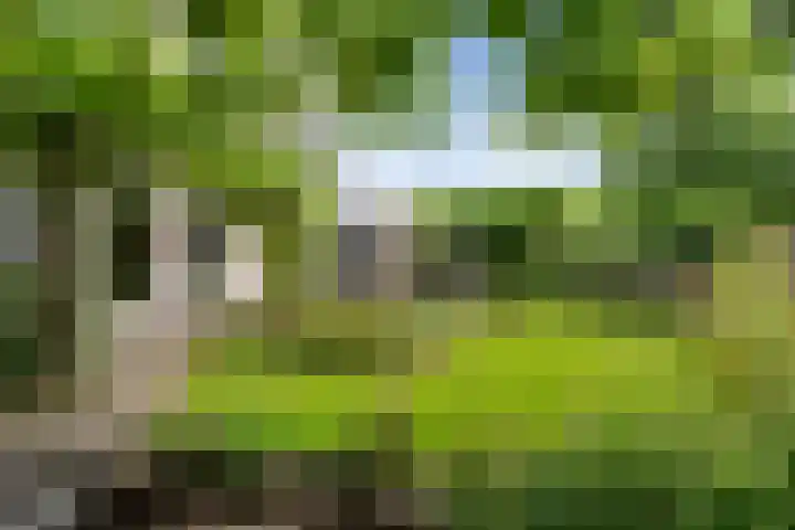 Kieveen 12 Westerbork thumbnail 37