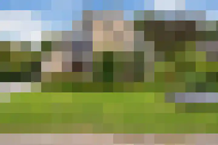 Kieveen 12 Westerbork thumbnail 38