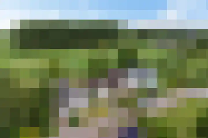 Kieviet 25 Bedum thumbnail 10