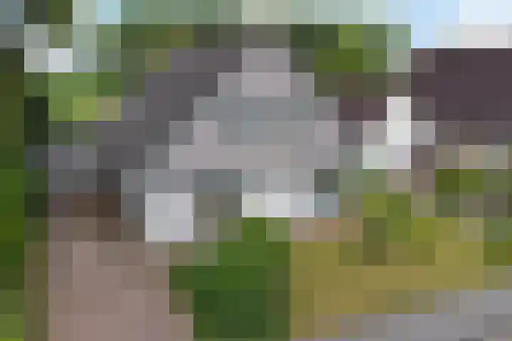 Kieviet 25 Bedum thumbnail 11
