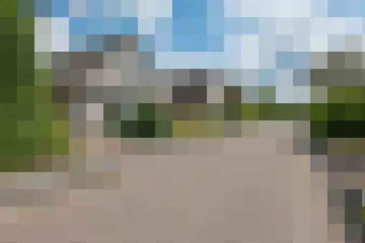 Kieviet 25 Bedum thumbnail 13