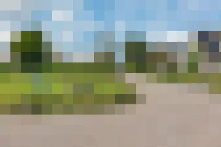 Kieviet 25 Bedum thumbnail 16