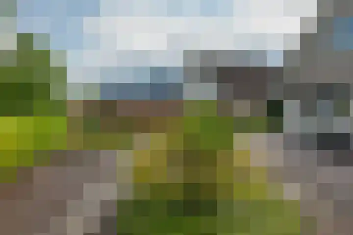 Kieviet 25 Bedum thumbnail 18