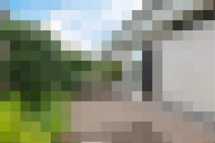 Kieviet 25 Bedum thumbnail 21