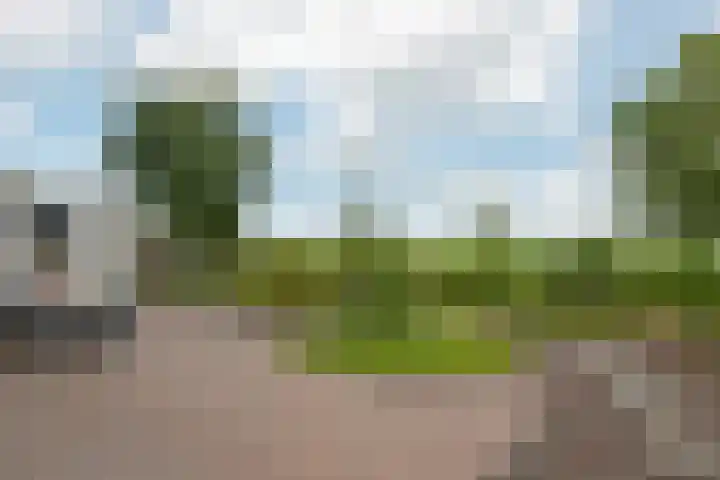 Kieviet 25 Bedum thumbnail 25