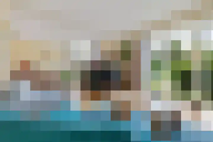 Kieviet 25 Bedum thumbnail 34