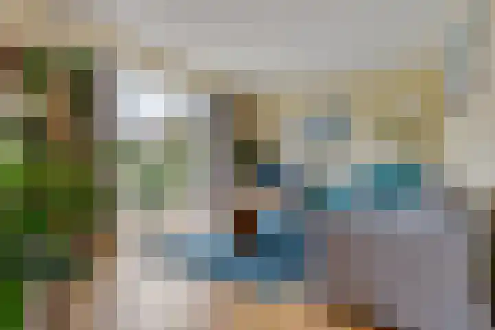 Kieviet 25 Bedum thumbnail 4